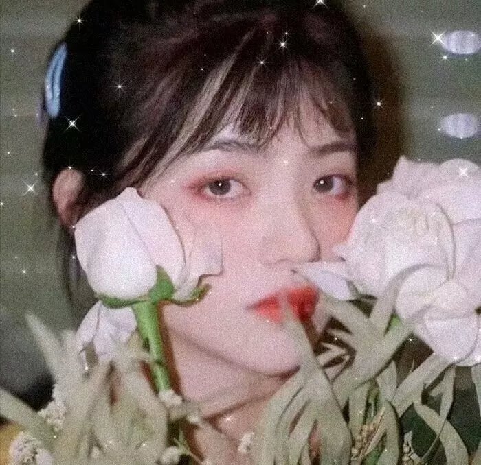 太阳有耳